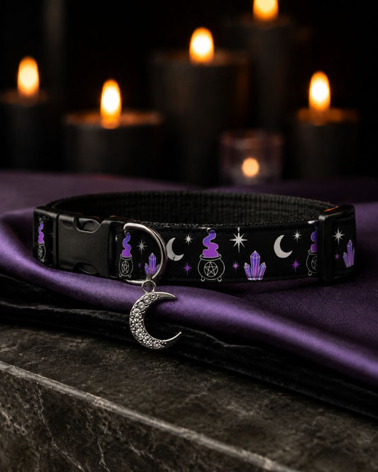 Crystal Cauldron Collar