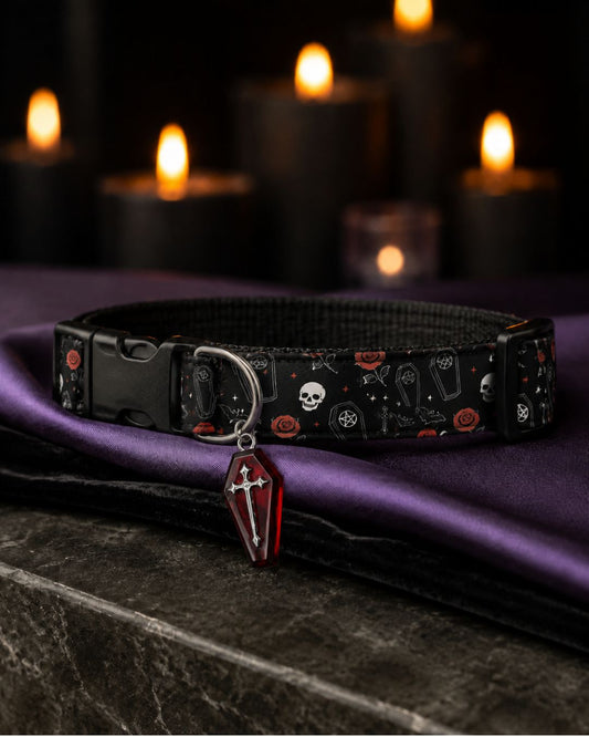 Skulls N Roses Collar