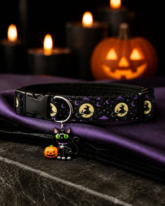 Halloween Night Collar
