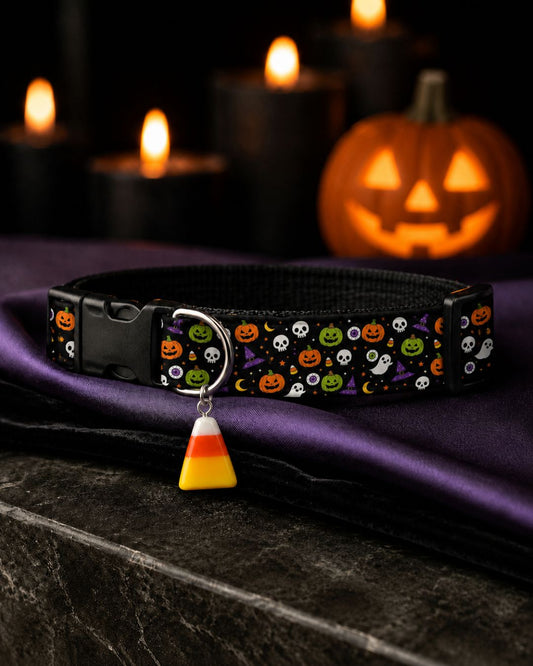Trick R Treat Collar