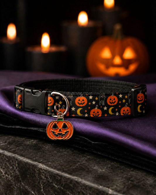 October Nights Collar