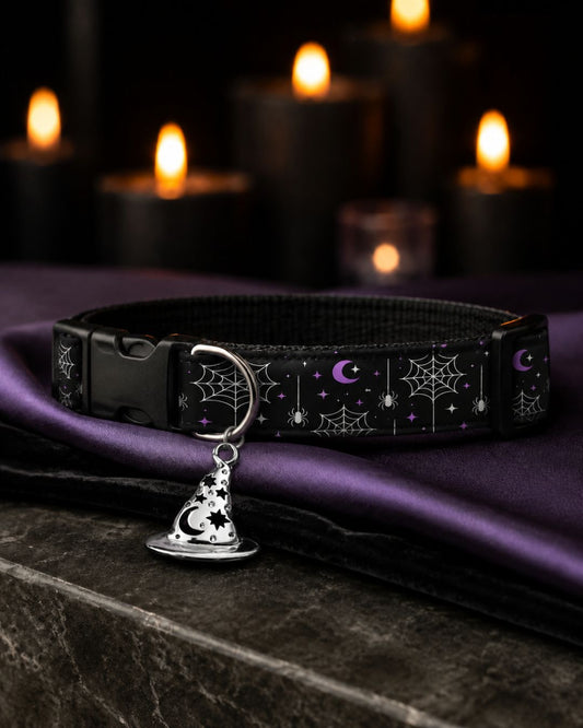 Web of Whispers Collar