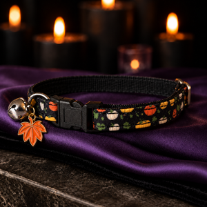 Autumn Harvest Collar