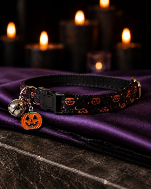 October Nights Collar