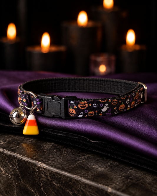 Trick R Treat Collar