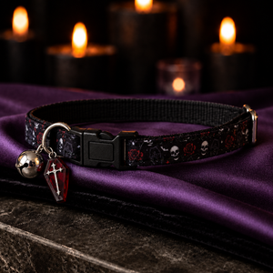 Skulls N Roses Collar