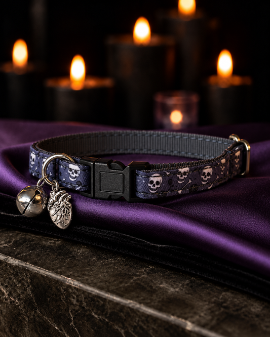 Memento Mori Collar