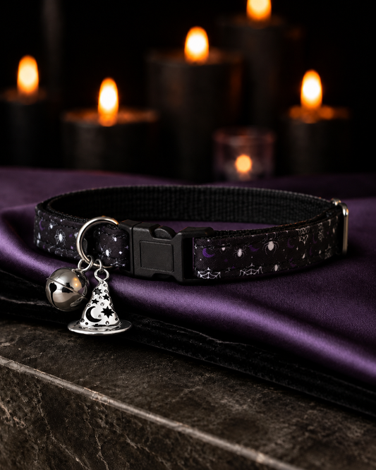 Web of Whispers Collar