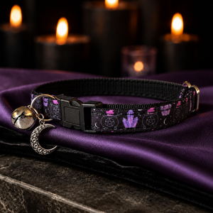 Crystal Cauldron Collar
